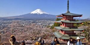 japon fuji cherry blossom tourism