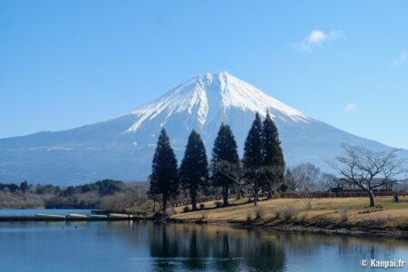 lac tanuki fuji 4