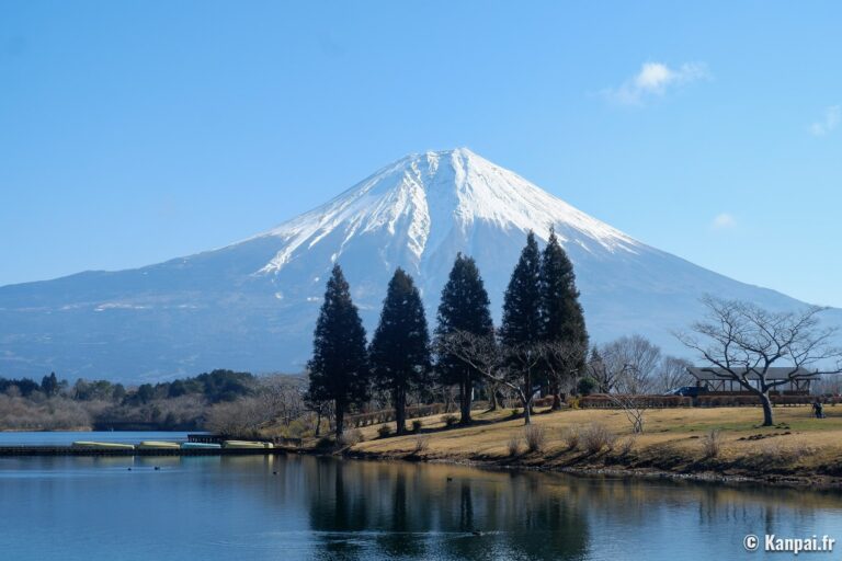 lac tanuki fuji 4