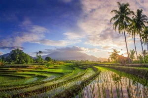 taxe touristique bali visa indonesie evoa evisa electronique lovebali.webp