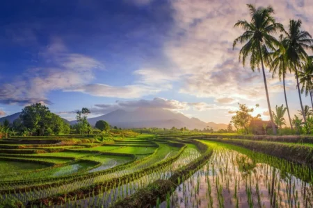 taxe touristique bali visa indonesie evoa evisa electronique lovebali.webp